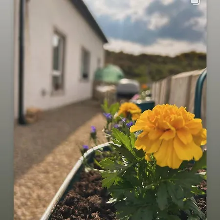 Hillside * Леттеркенни