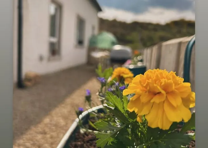 Hillside * Letterkenny