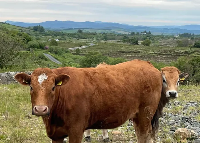 Holiday home Hillside